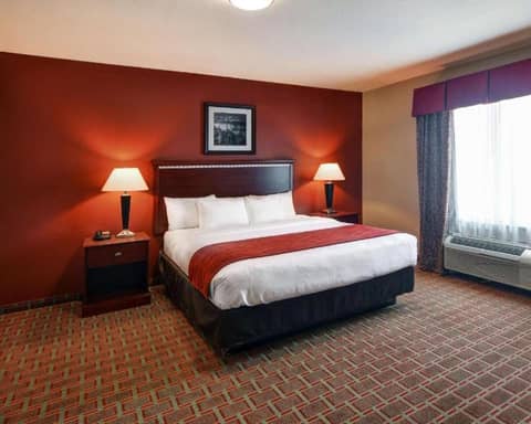 Comfort Suites Lake Worth — hotel room