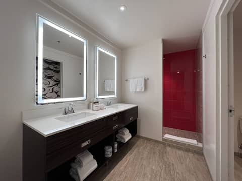 Ahern Hotel Las Vegas — bathroom