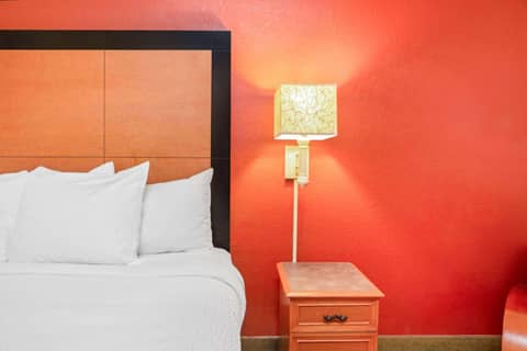 La Quinta by Wyndham USF (Near Busch Gardens) — photo 2