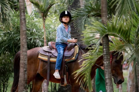 Mane Family Vacation — photo 7