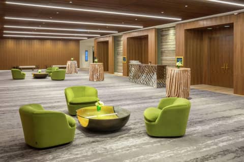 C. Baldwin, Curio Collection by Hilton — photo 6
