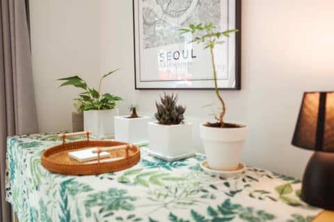 Starria Hostel foreign guest only — photo 4