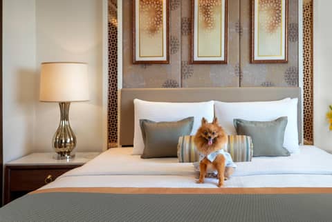 Tajview, Agra-IHCL SeleQtions — human