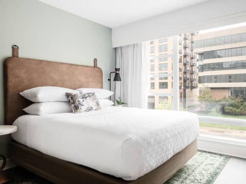 Hotel Indigo Saint Louis Central West End by IHG — photo 5
