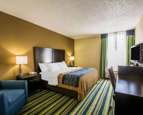 Comfort Inn & Suites Lantana - West Palm Beach South — photo 3