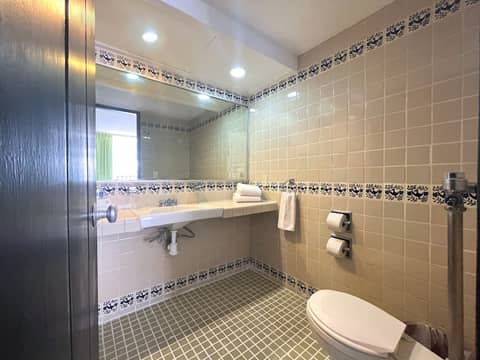 Hotel Delfin PV Beach Resort — photo 3