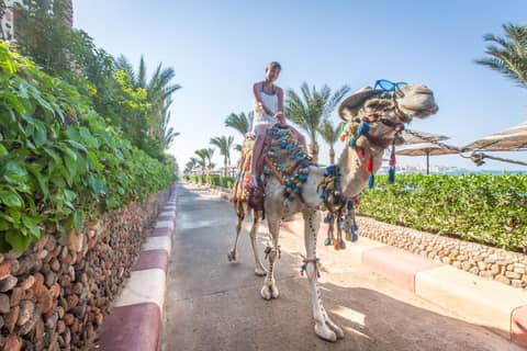 Sunny Days El Palacio Resort & Spa — photo 7
