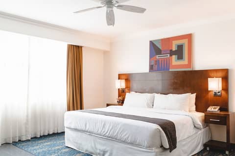 KC Hotel San José — photo 6
