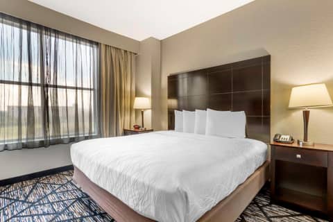 Best Western Plus Hobby Airport Inn & Suites — photo 3