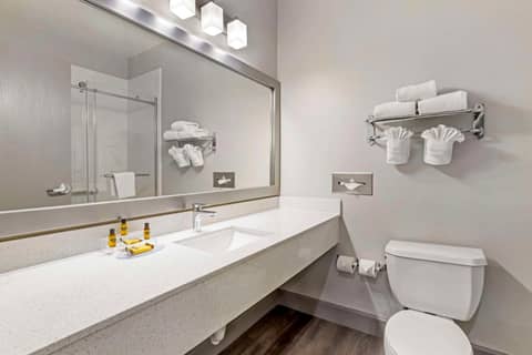 Best Western Plus Hobby Airport Inn & Suites — photo 5