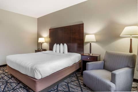 Best Western Plus Hobby Airport Inn & Suites — photo 7