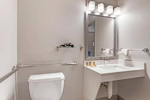 Best Western Plus Hobby Airport Inn & Suites — photo 8