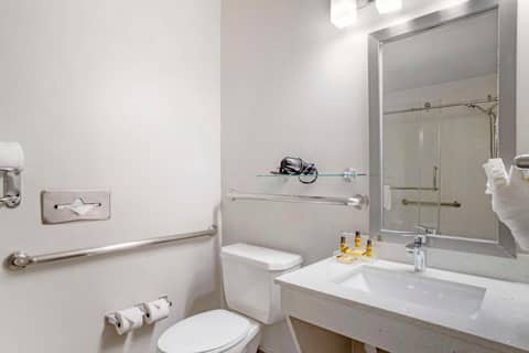 Best Western Plus Hobby Airport Inn & Suites — photo 9