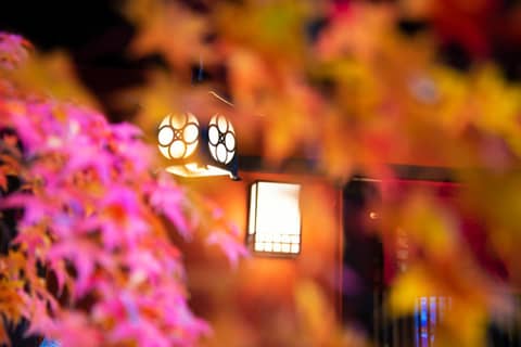 Kyoto Takasegawa Bettei — photo 8