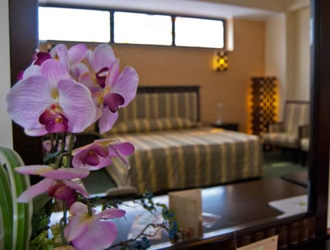 Hotel Tecadra — photo 5