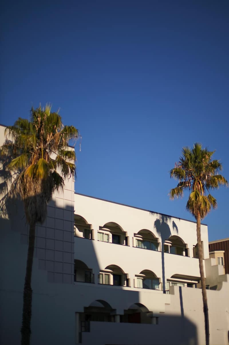 SoMa House — building