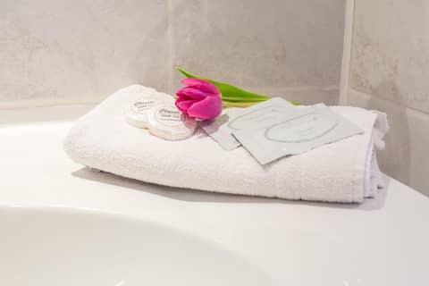 Hotel Dzingel — bathroom