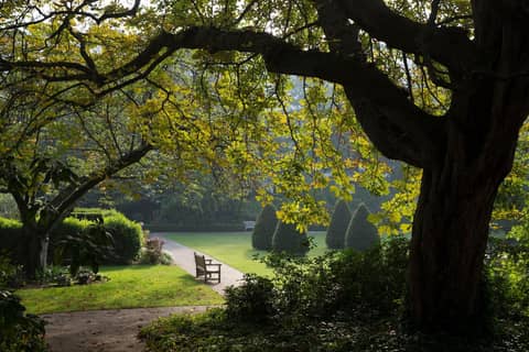 Jumeirah Carlton Tower London — garden