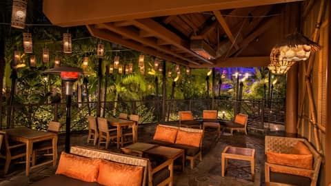Disneyland Hotel — balance & terrace