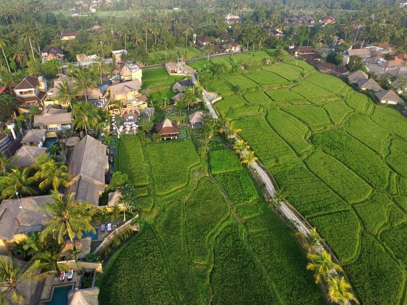 Wapa di Ume Ubud — building