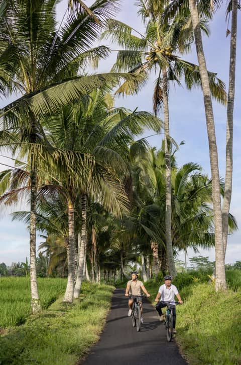 Wapa di Ume Ubud — photo 2
