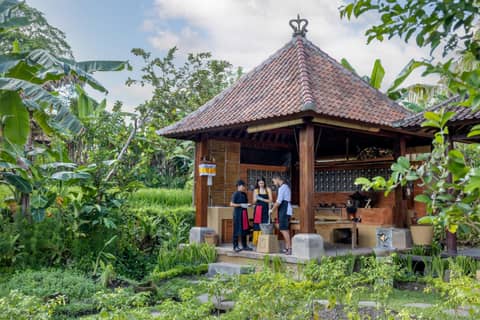 Wapa di Ume Ubud — photo 4
