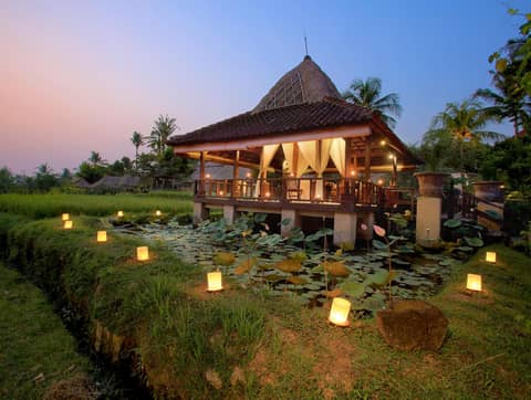 Wapa di Ume Ubud — photo 7