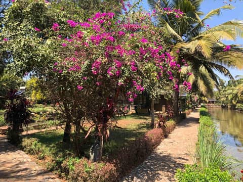 Resort Primo Bom Terra Verde — photo 7