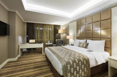 Dedeman Bostanci Istanbul Hotel & Convention Center — photo 2