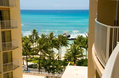 The Twin Fin Hotel — photo 9