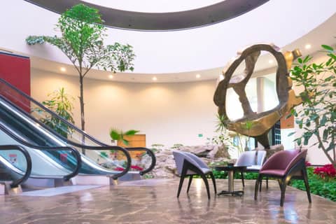 Holiday Inn Monterrey-Parque Fundidora by IHG — photo 4