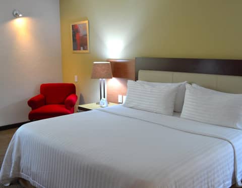 Holiday Inn Guadalajara Select by IHG — photo 8