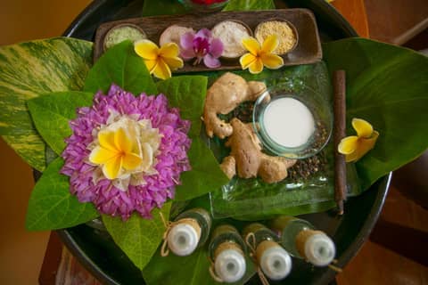 Parigata Resorts and Spa — activities & amenities