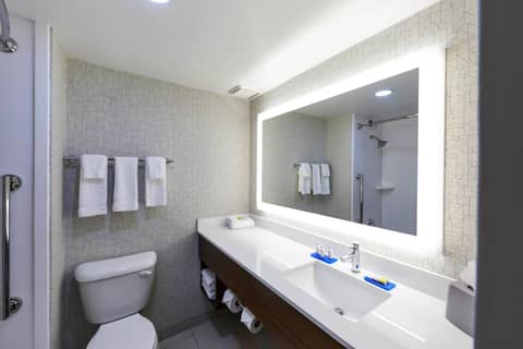 Holiday Inn Express Nashville-Downtown - Broadway by IHG — bathroom