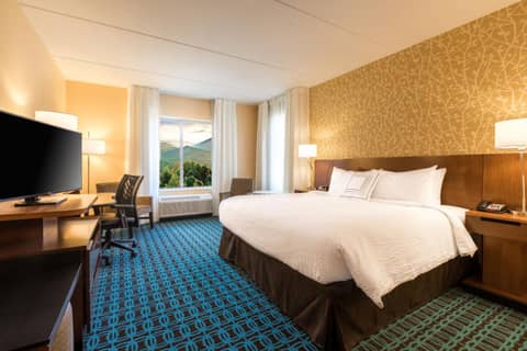 Fairfield Inn & Suites by Marriott Asheville Tunnel Road — photo 4