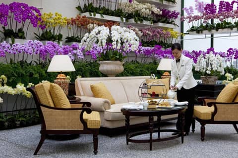 The Majestic Hotel Kuala Lumpur Autograph Collection — photo 2