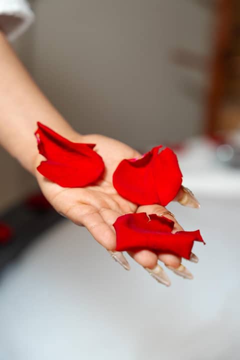 Montreal Magdalena Del Mar Hotel — photo 5