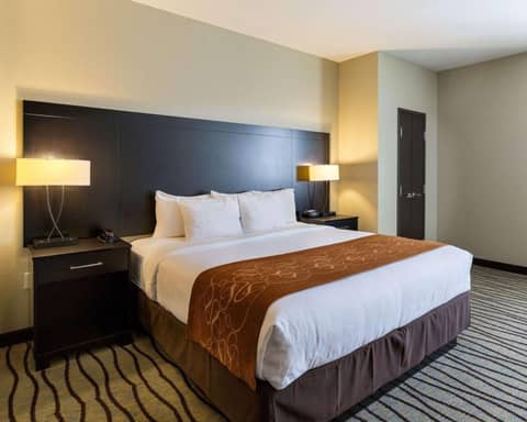 Comfort Suites near Westchase on Beltway 8 — photo 8