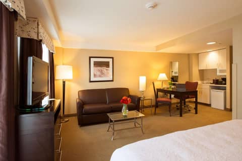 Hampton Inn & Suites Boston Crosstown Center — hotel room