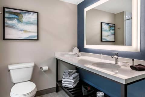 Cambria Hotel Orlando Airport — photo 8
