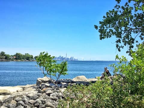 The Westlake — photo 4
