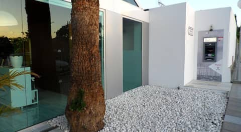 Canary Garden Club — photo 2