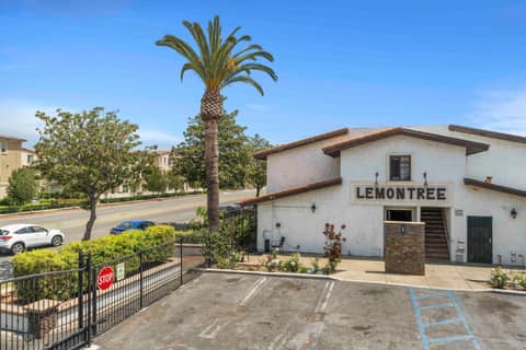 Lemon Tree Hotel and Suites — photo 4