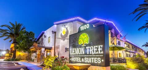 Lemon Tree Hotel and Suites — photo 9