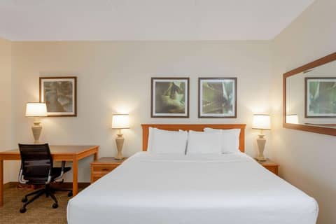 La Quinta Inn & Suites by Wyndham Jacksonville Mandarin — photo 8
