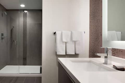 Embassy Suites by Hilton Charlotte Uptown — photo 6