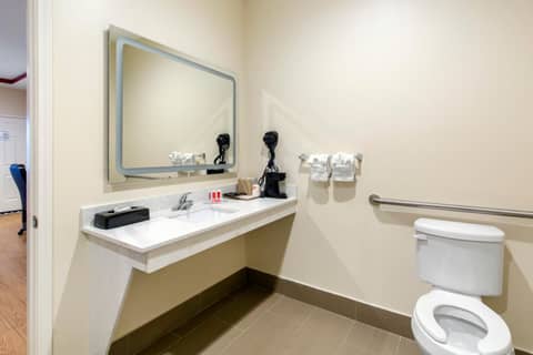 Econo Lodge Inn & Suites Houston Willowbrook — photo 6
