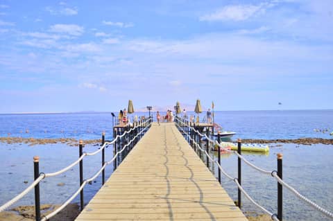 Xperience Sea Breeze Resort — photo 7