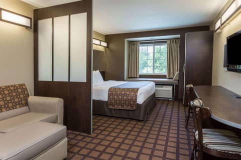 Microtel Inn & Suites by Wyndham Jacksonville Airport — photo 2