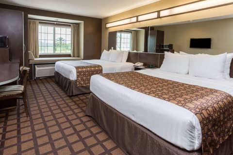 Microtel Inn & Suites by Wyndham Jacksonville Airport — photo 5